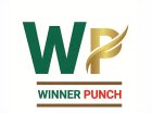 Winner Punch